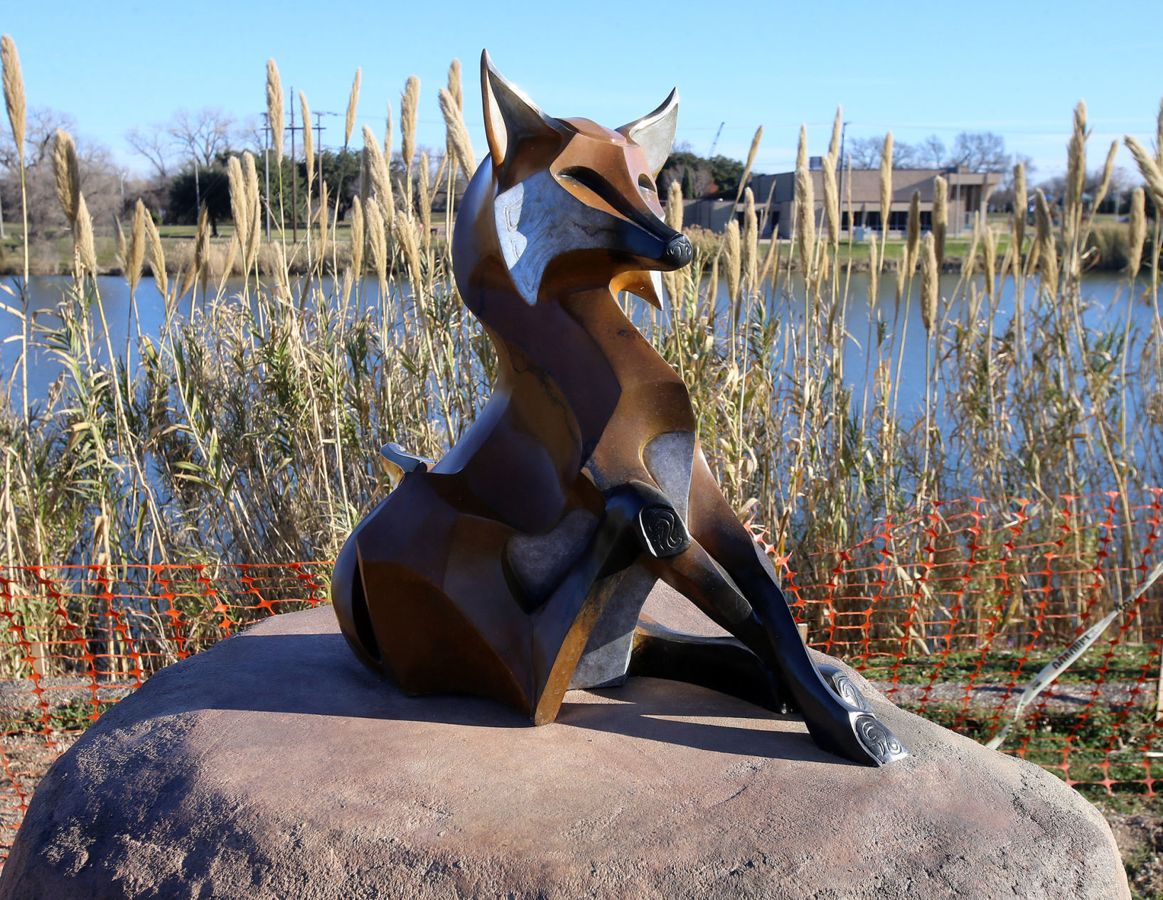Zoo fox